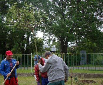 Galeria 2