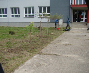 Galeria 2