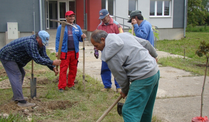 7. fotografia fotogalérie Výsadba stromčekov pri KD