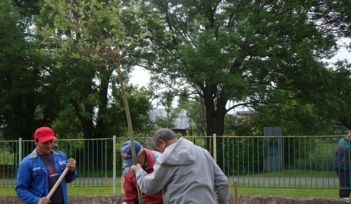 9. fotografia fotogalérie Výsadba stromčekov pri KD
