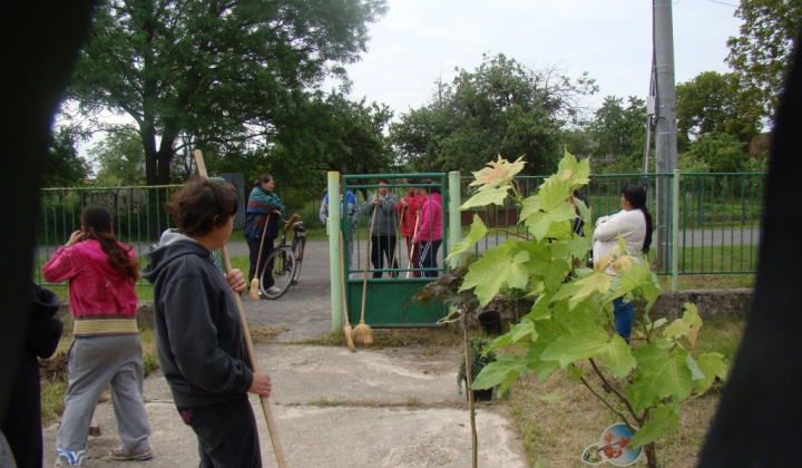 15. fotografia fotogalérie Výsadba stromčekov pri KD
