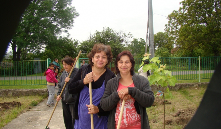 16. fotografia fotogalérie Výsadba stromčekov pri KD