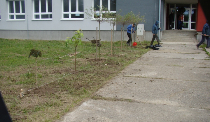 18. fotografia fotogalérie Výsadba stromčekov pri KD