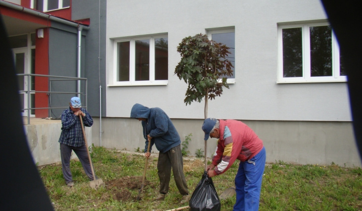 20. fotografia fotogalérie Výsadba stromčekov pri KD