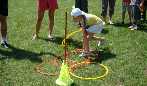 MDD 2011 