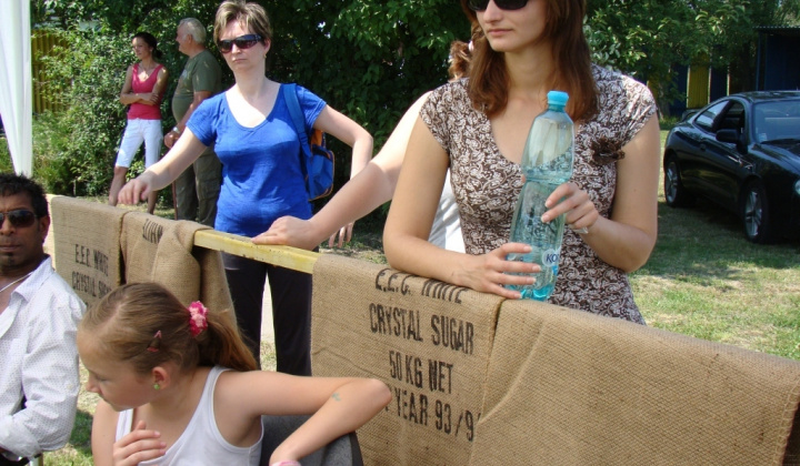 MDD 2011