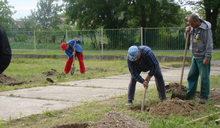 Výsadba stromčekov pri KD