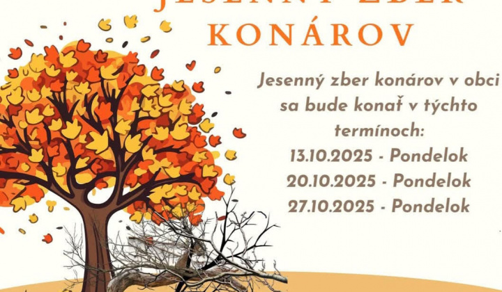 Fotka - Zber konárov v obci
